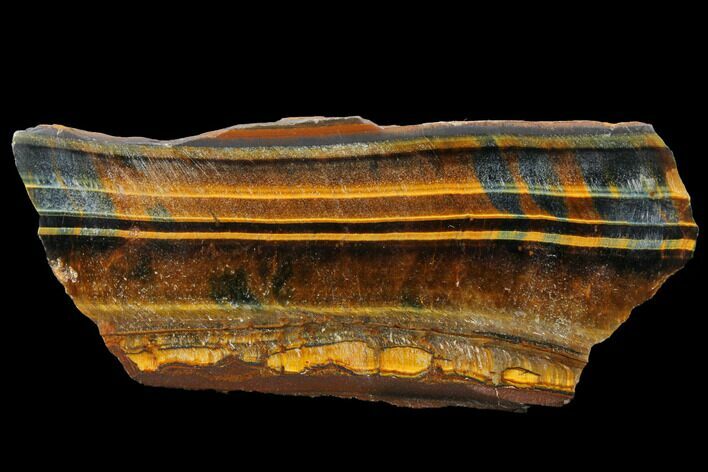 Polished Tiger's Eye Section - South Africa #128449